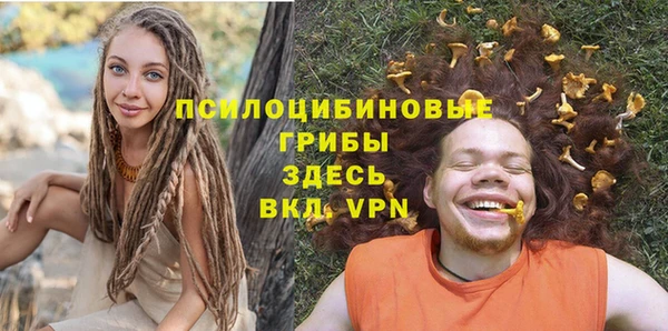 бутират Алзамай