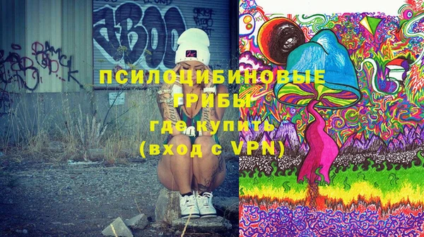 шишки Пересвет