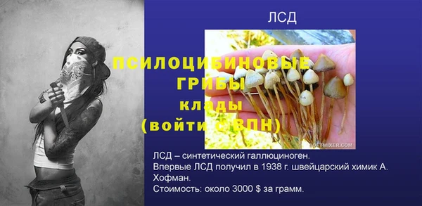 ПСИЛОЦИБИНОВЫЕ ГРИБЫ Алексин