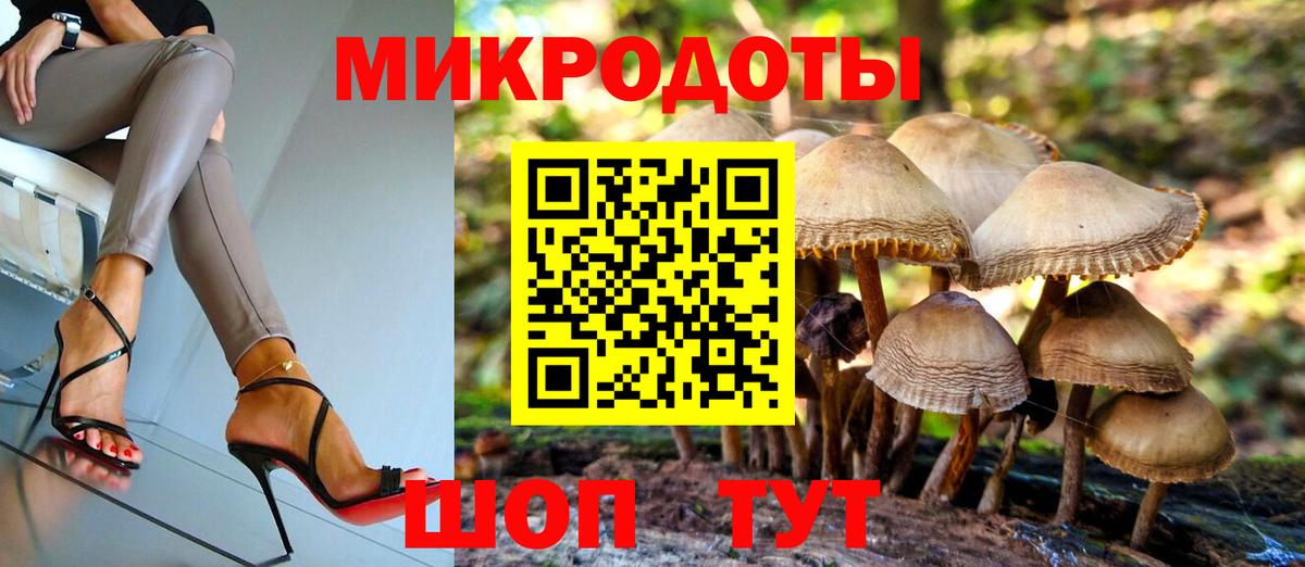 Псилоцибиновые грибы мухоморы Павловский Посад