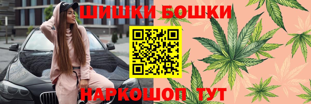 Марихуана план Павловский Посад